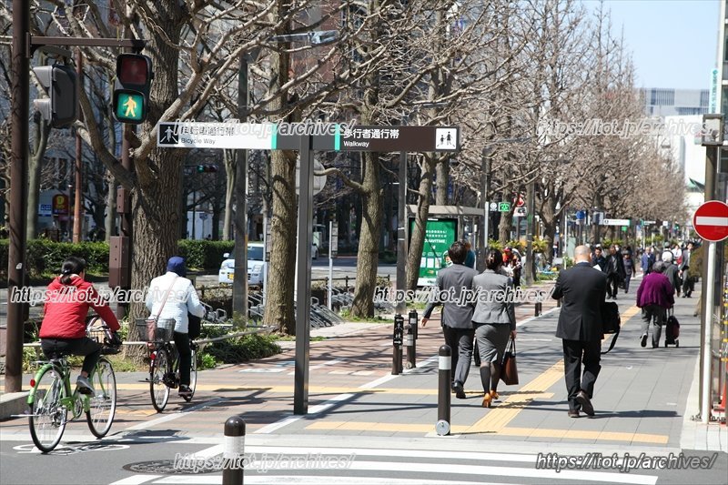 通行帯が整備された市役所通り