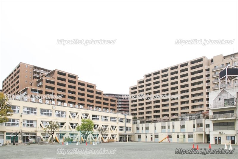 世田谷区立塚戸小学校