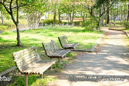 磯辺FC　インタビュー　北磯辺公園