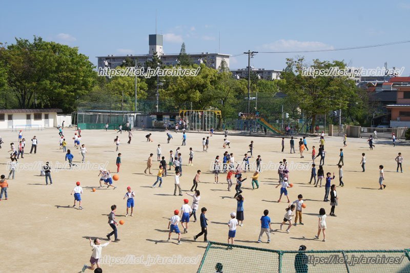 校庭の風景
