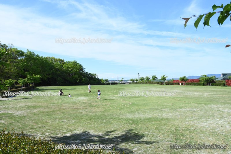 「三好公園」内にある芝生広場