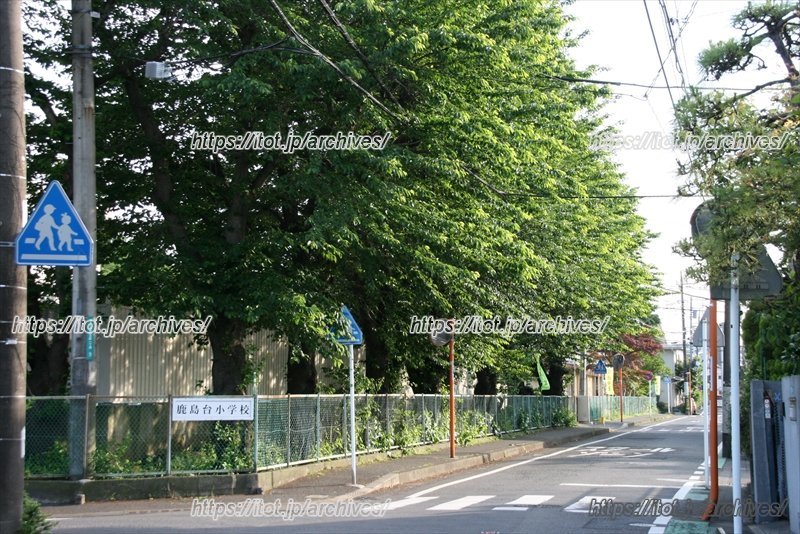 学校前、落ち着いた住宅街が広がっている