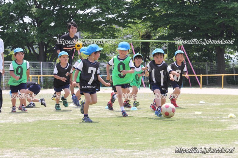 保育園での巡回指導の様子