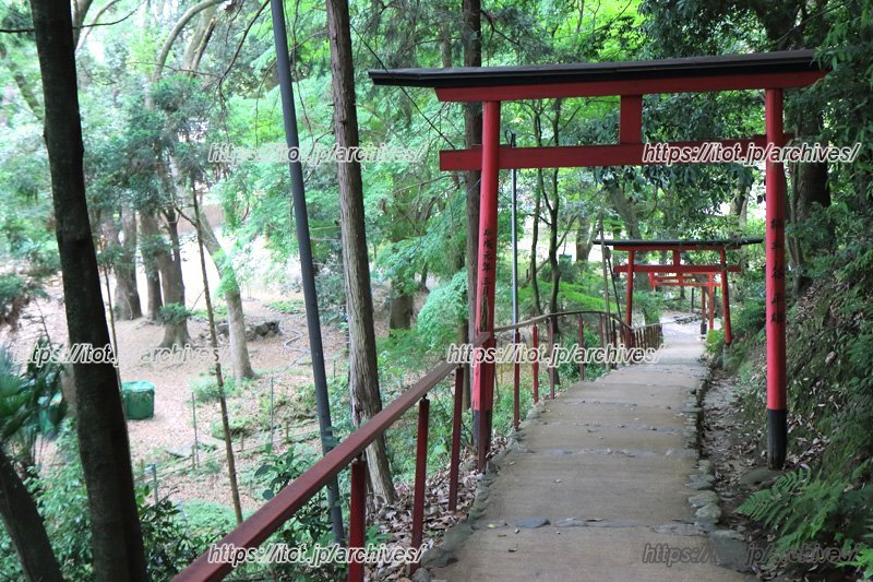 鳥居の続く階段