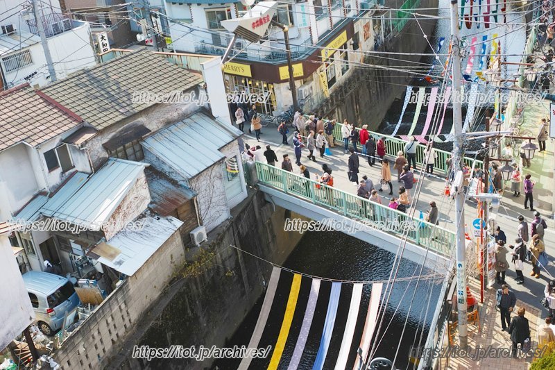 魅力的な風土、伝統、そして人