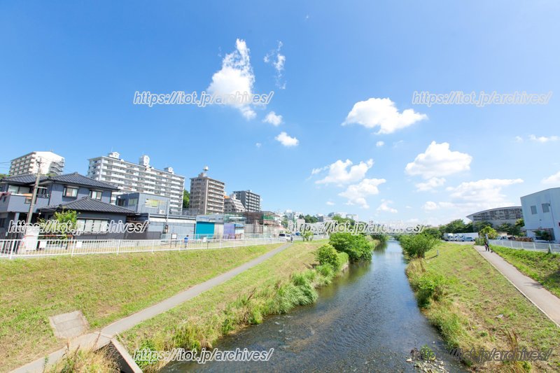 春は桜、夏は水遊びも楽しめる「黒目川」