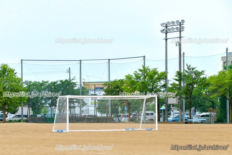 ほぼ全員が部活動を行う