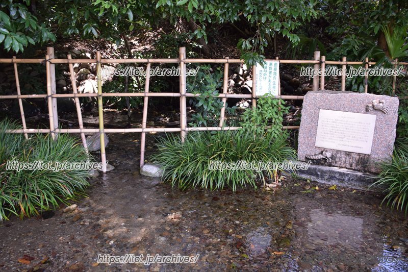 東京の名湧水にも選ばれている「ママ下湧水」