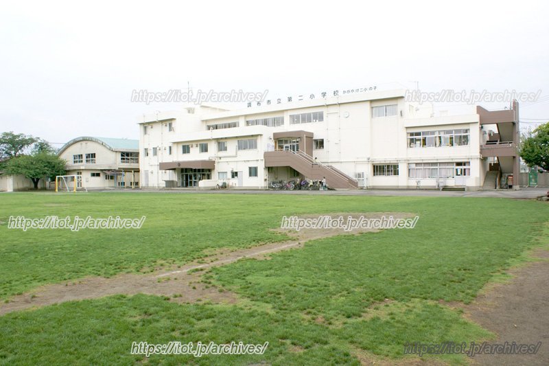 全面芝生に張りかえられた校庭