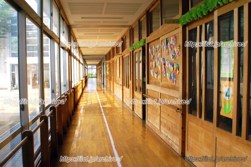 小学校の廊下。外観からは想像もつかないほどふんだんに木材が使われている