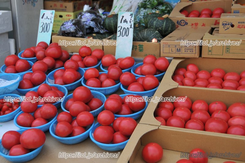 店頭には人気の「鎌倉野菜」が並ぶ