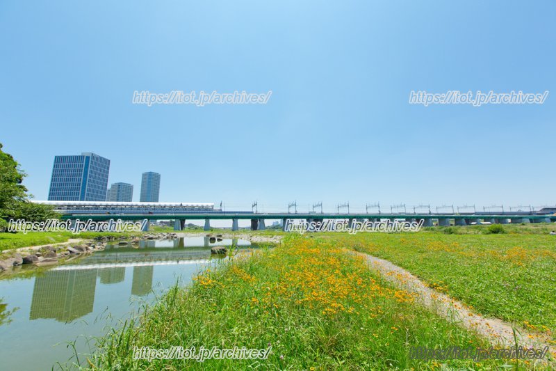 多摩川の自然と駅前の再開発地域