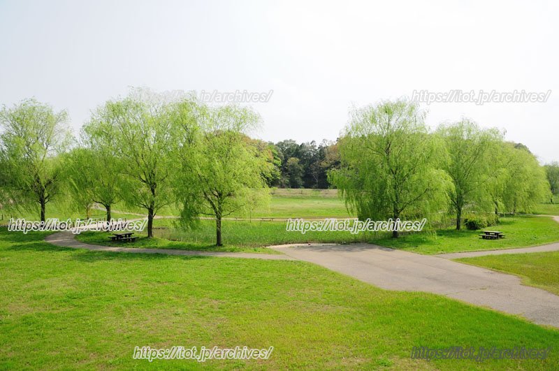 のびのびと生活できる環境が整う