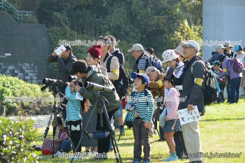 年3回行われる親子探鳥会