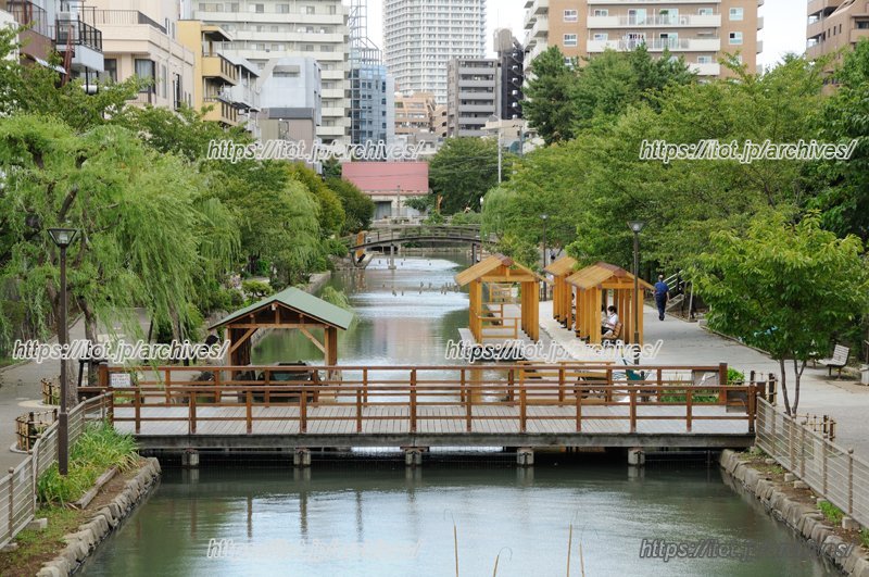 周辺住民の憩いの場にもなっている「木場親水公園」