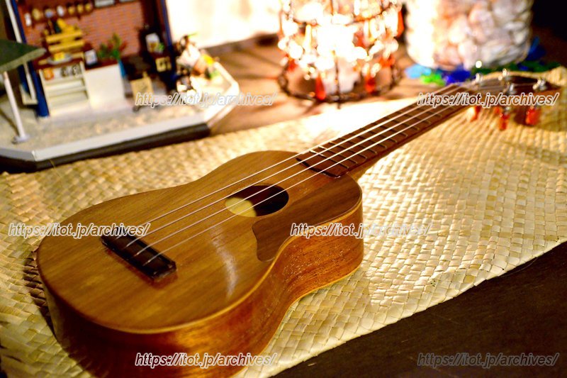2階ではウクレレのワークショップを開催