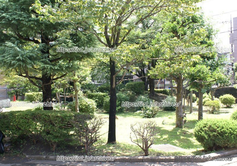 校内には自然も多い