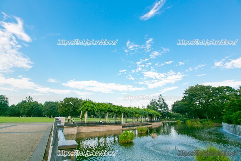 「都立武蔵国分寺公園」