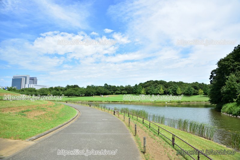 千葉県立北総花の丘公園