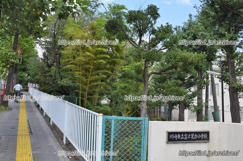 校門周辺も緑が豊か