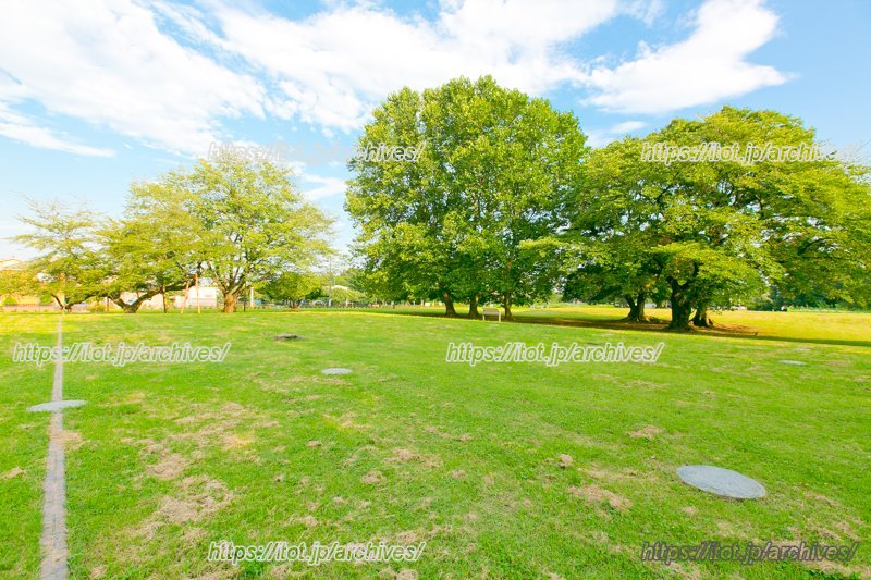 「武蔵国分寺跡」