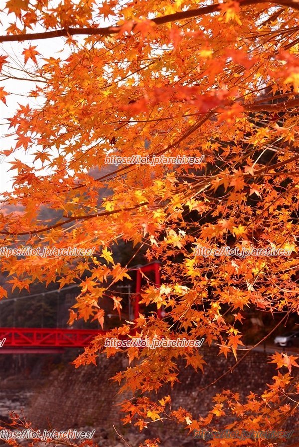 武田尾渓谷の紅葉