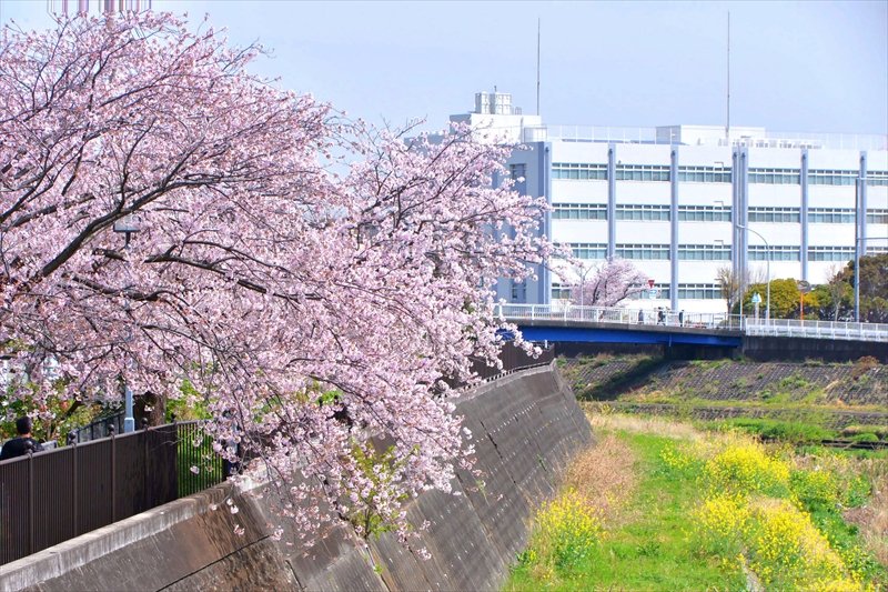 柏尾川プロムナード