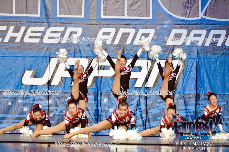 銀メダルを手にし、アメリカ大会への出場権を獲得したチアの選抜クラスの演技