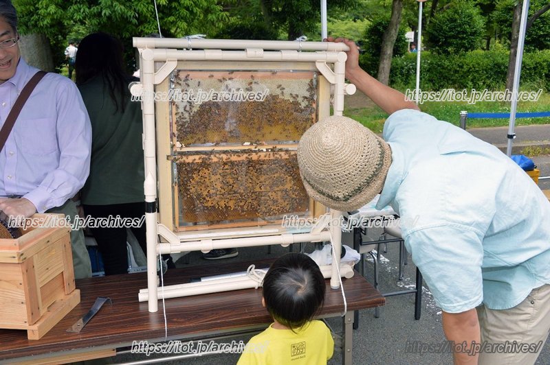 玉川大学の「ミツバチ巣箱の実験観測」