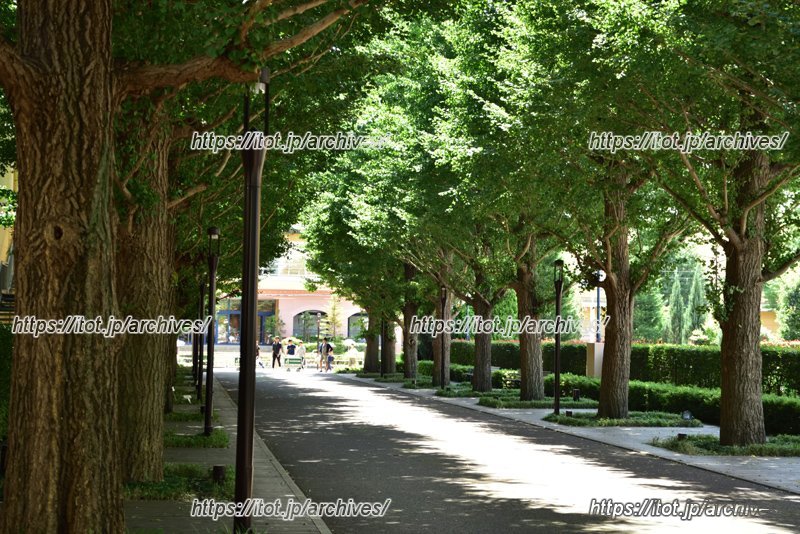 豊かな緑が魅力な街、昭島