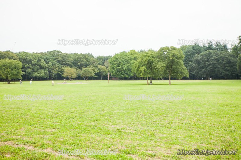 テニスコートも併設の「小金井公園」