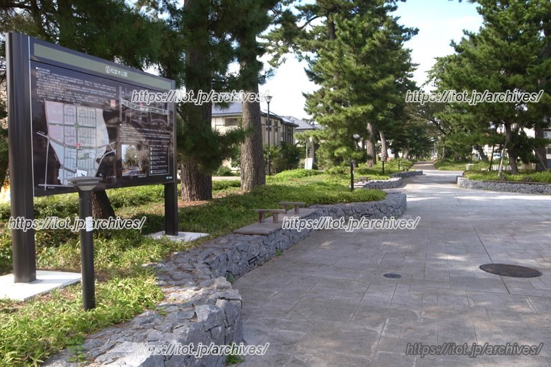 住宅街に隣接した「松並木公園」