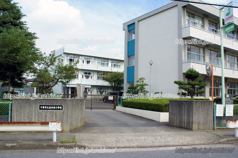 体験・見学をとおして記憶に残る学習を行う／千葉市立真砂東小学校 加藤先生