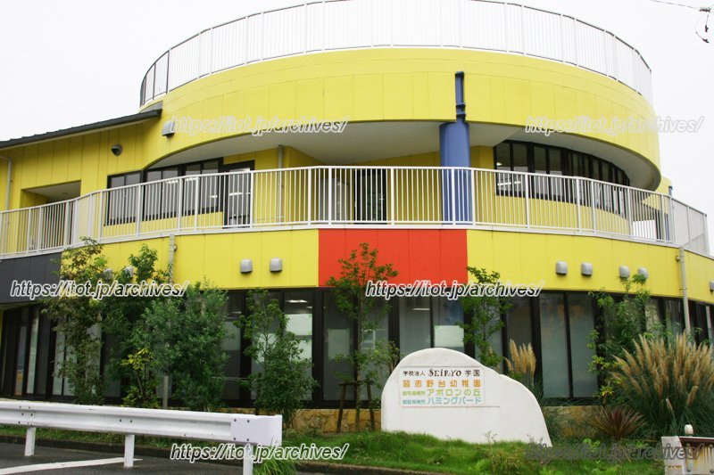 世界へ羽ばたけ！五感を刺激する多彩な教育スタイル／学校法人SEiRYO学園 習志野台幼稚園　理事長代行　いぬかい良成先生