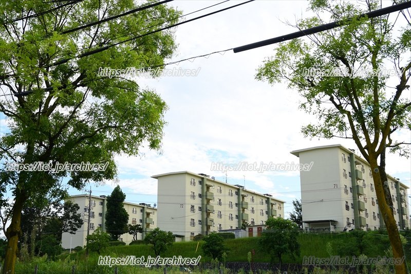 鳴子小学校西側の住棟群には高齢者が多い