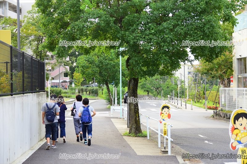 若い世帯も誘致。様々な世代が共同する地域社会が生まれている
