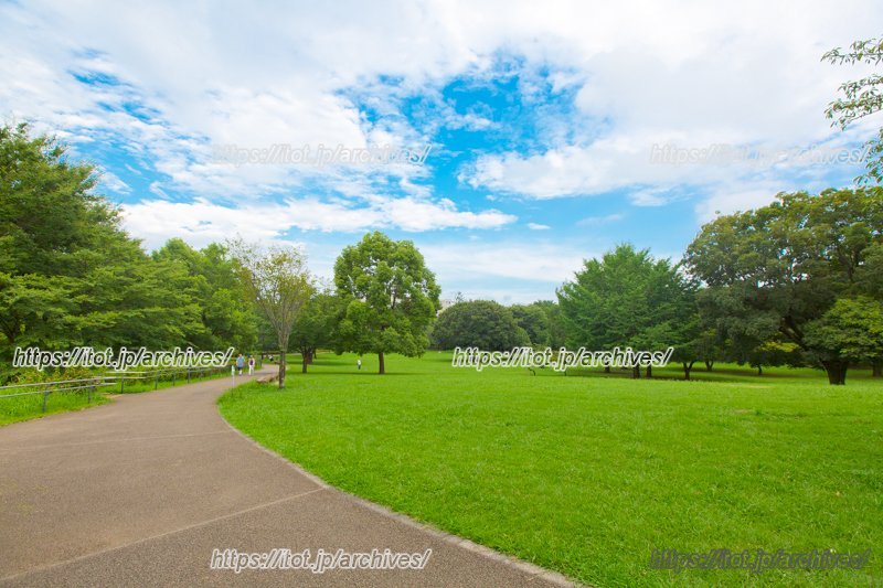 「都立武蔵国分寺公園」