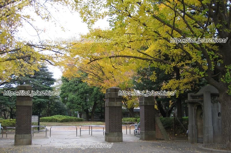 「新拠点ゾーン」にある松戸中央公園