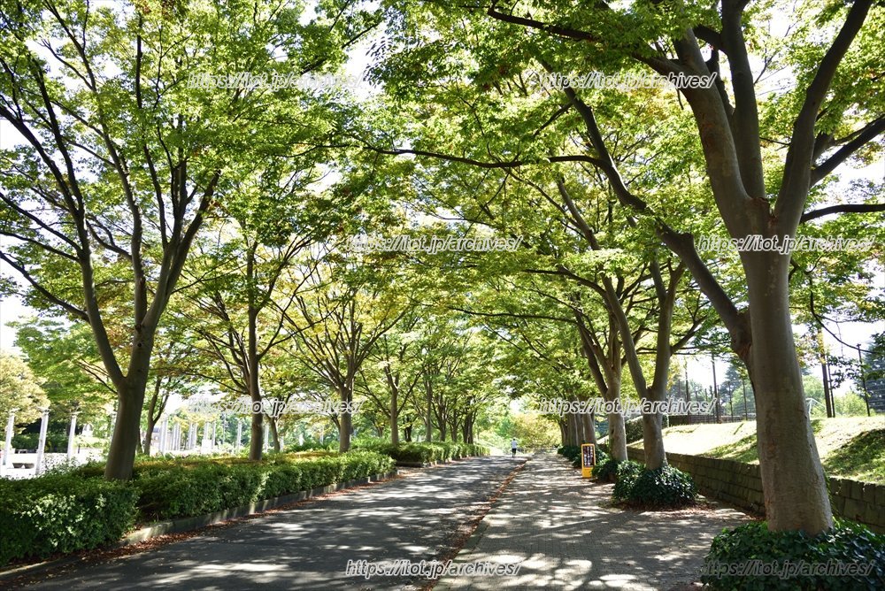 「県立保土ケ谷公園」