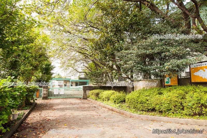 緑も鮮やかな「小平市立鈴木小学校」