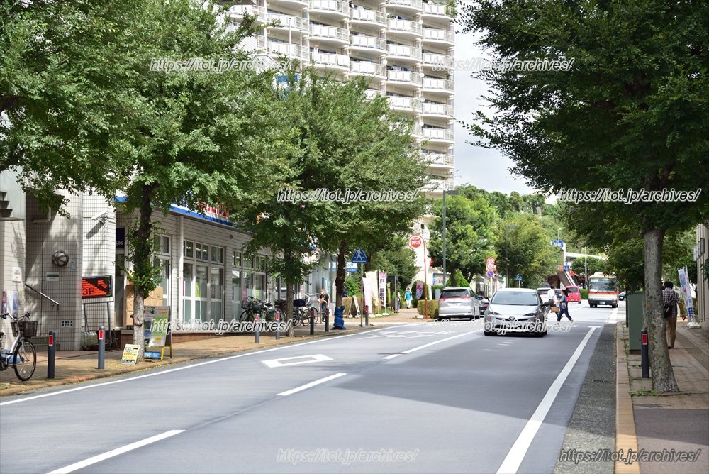 教育に関心の高い街でもある