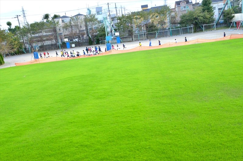 市内で初めて全面芝生化された校庭