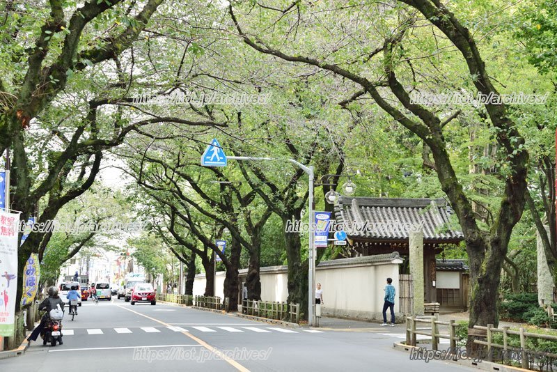 武蔵境の街並み