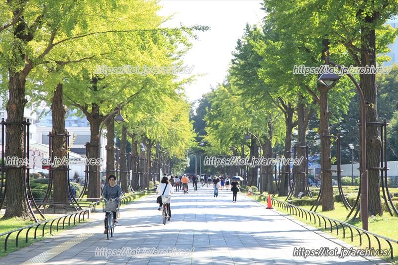 光が丘公園 光が丘のメインストリート
