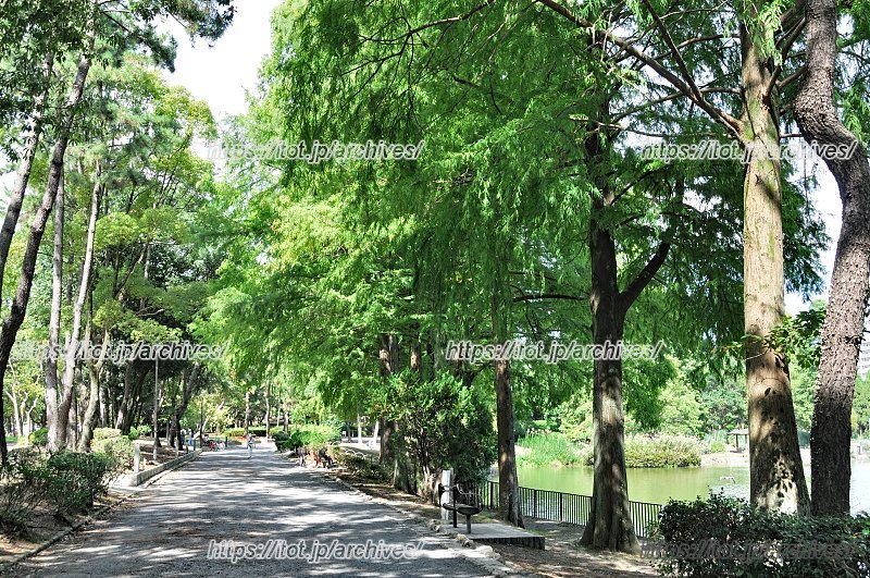 「千里南公園」
