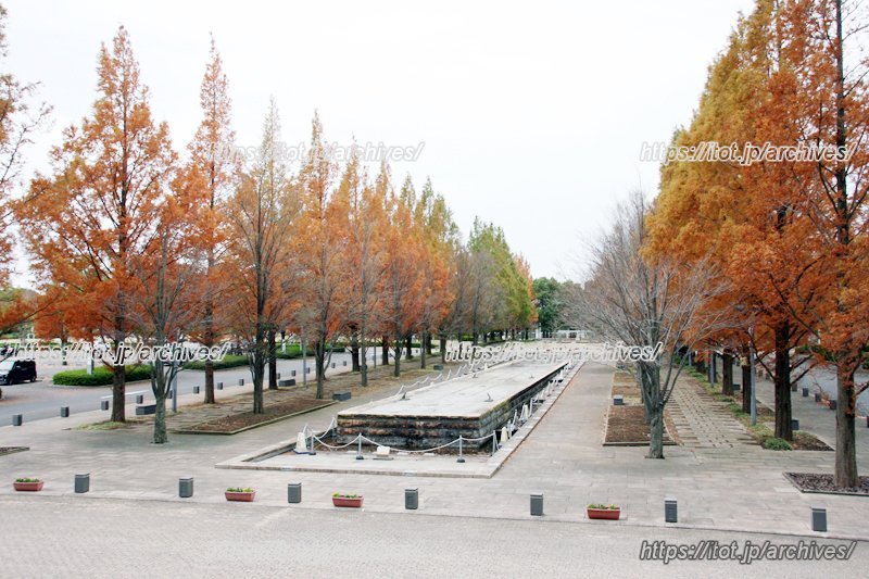 浦和美園エリアの憩いの場となっている