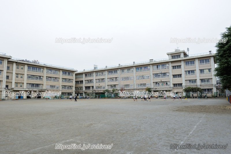 広々とした校庭