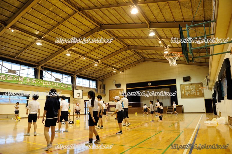 体育の授業の様子