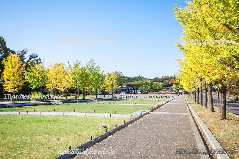 「国営昭和記念公園」