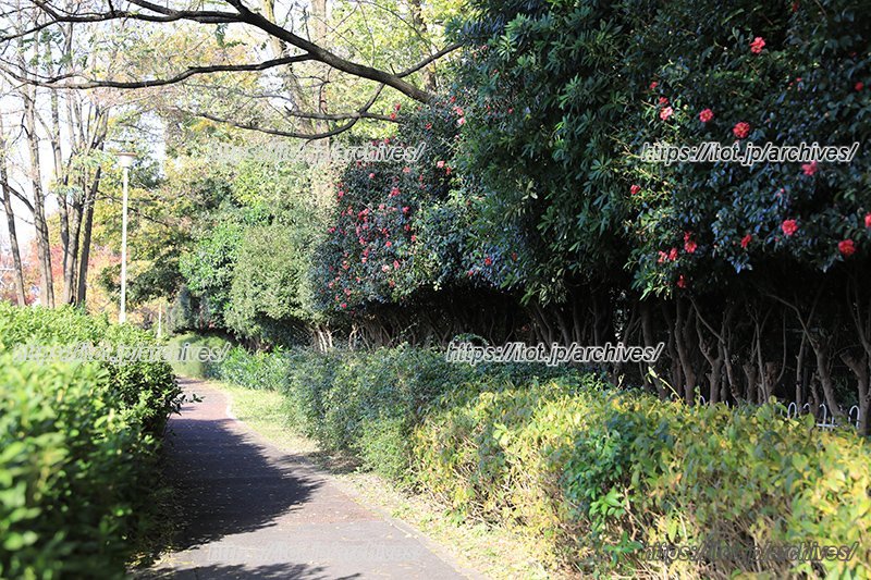 学校周辺は自然がいっぱい